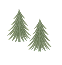 Animation Icon