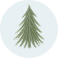 Radius Image