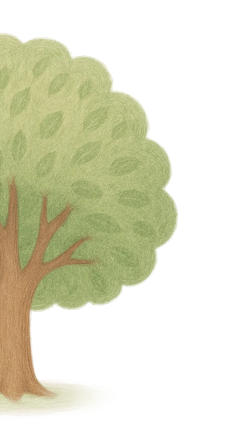 Tree Shape